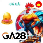 tik88 Game 08